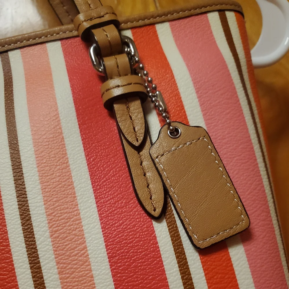 Coach stripes bag NWNT - Picture 3 of 12